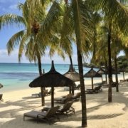 858CEFDE-5D54-4903-BAC7-E3E62DE3405A_1_201_a